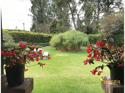 Country House in Envigado, Departamento de Antioquia