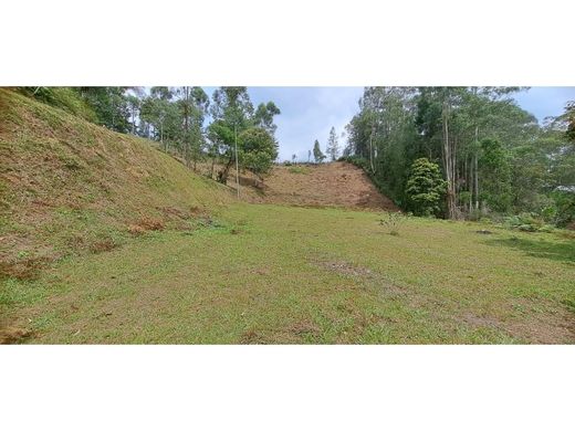 Grundstück in Rionegro, Departamento de Antioquia