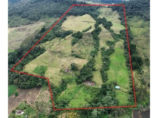 Ρουστίκ ή αγροικία σε Sonsón, Sonson