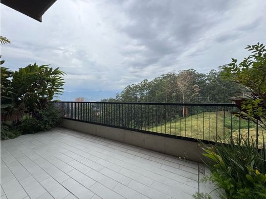 Daire Medellín, Departamento de Antioquia