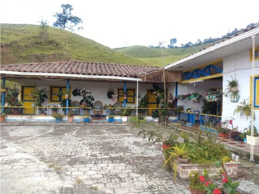 ‏בתים כפריים או חוות ב  El Dovio, Departamento del Valle del Cauca