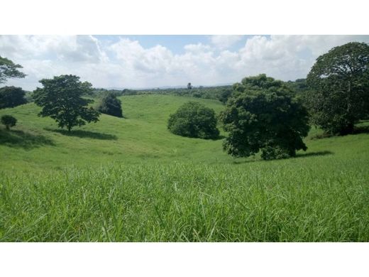 Farmhouse in Montería, Departamento de Córdoba