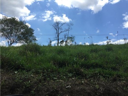 Сельский Дом, Piendamó, El Tambo