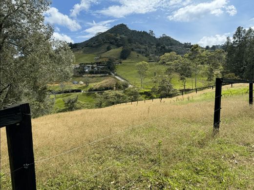 Terrain à Rionegro, Departamento de Antioquia