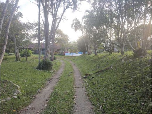 Boerderij in Quimbaya, Quindío Department