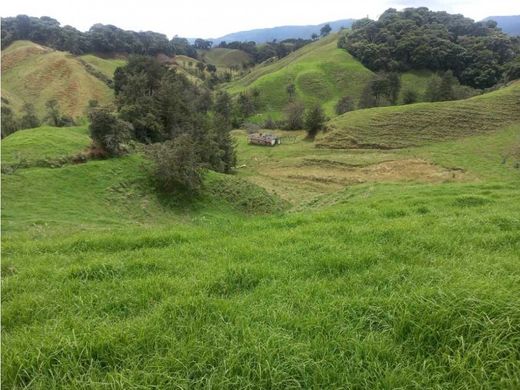 전원/농가 / Santa Rosa de Osos, Departamento de Antioquia