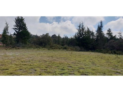 Grundstück in Rionegro, Departamento de Antioquia