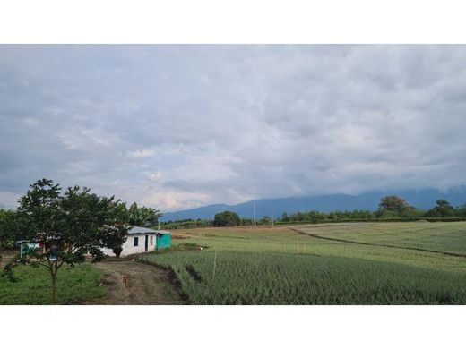 Boerderij in La Tebaida, Quindío Department