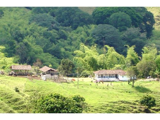 Boerderij in Montenegro, Quindío Department