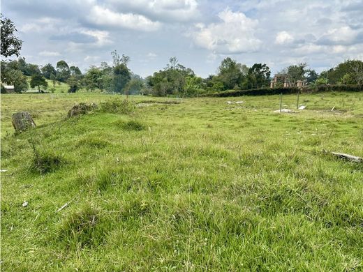 Teren w Rionegro, Departamento de Antioquia