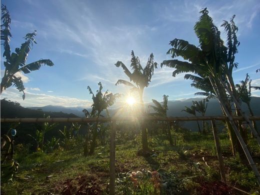 Cortijo o casa de campo en Cartago, Departamento del Valle del Cauca