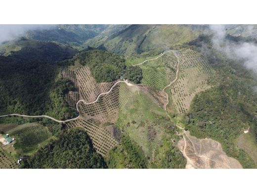 Abejorral, Departamento de Antioquiaの土地