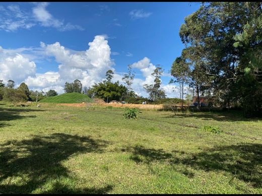 Grundstück in Rionegro, Departamento de Antioquia