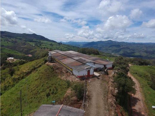 Gutshaus oder Landhaus in Santa Rosa de Osos, Departamento de Antioquia