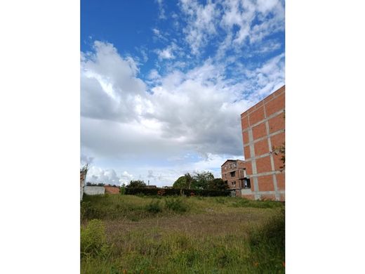 Arsa Rionegro, Departamento de Antioquia