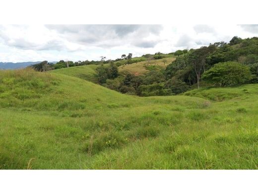 전원/농가 / San Sebastián de Mariquita, Departamento de Tolima