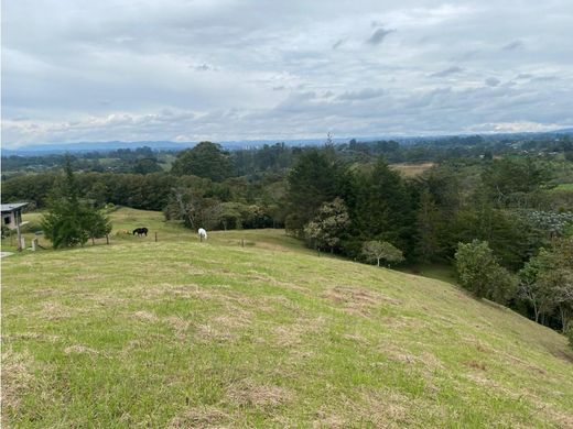 地皮  Rionegro, Departamento de Antioquia