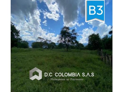 Arsa Villavicencio, Departamento del Meta