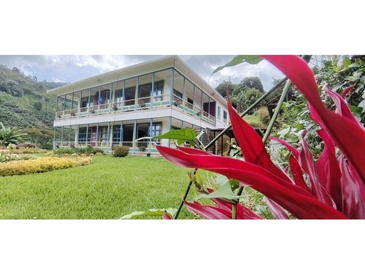 전원/농가 / Pijao, Quindío Department