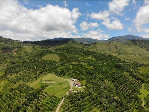 Gutshaus oder Landhaus in Sevilla, Departamento del Valle del Cauca