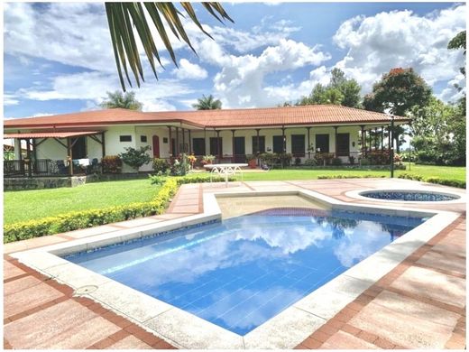 전원/농가 / Armenia, Quindío Department