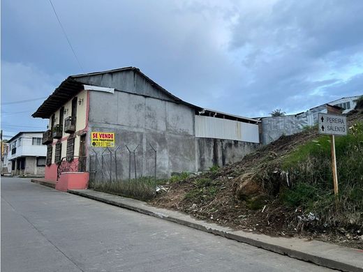 Arsa Circasia, Quindío Department
