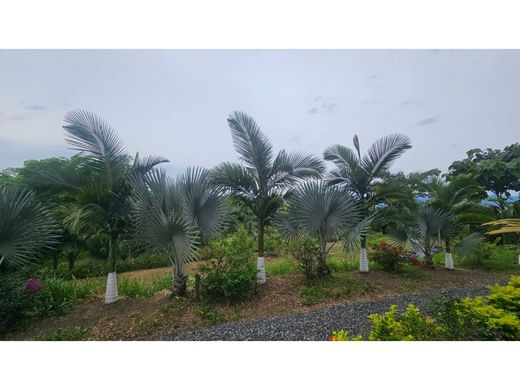 Terreno a Pereira, Departamento de Risaralda