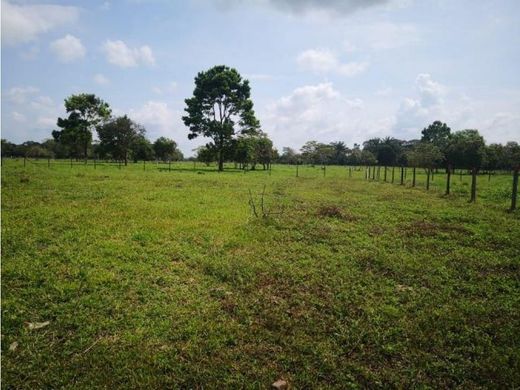 Αγροτεμάχιο σε Pereira, Departamento de Risaralda