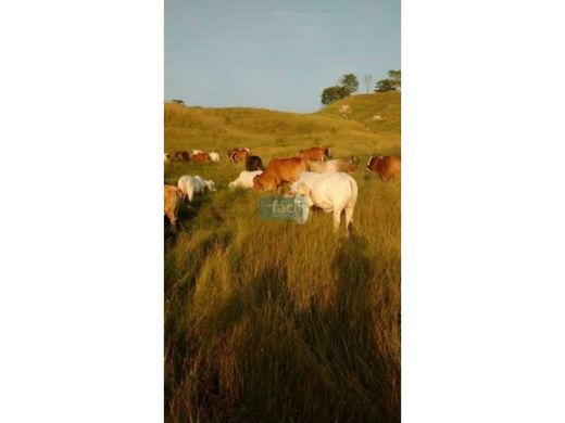 Farmhouse in Cimitarra, Departamento de Santander