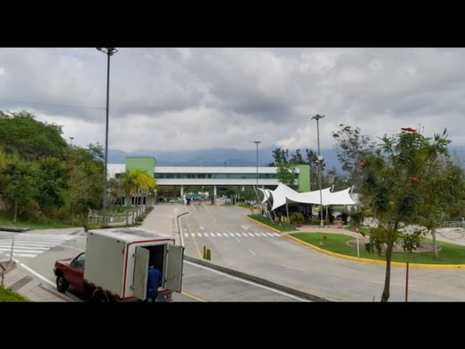 Arsa Floridablanca, Departamento de Santander