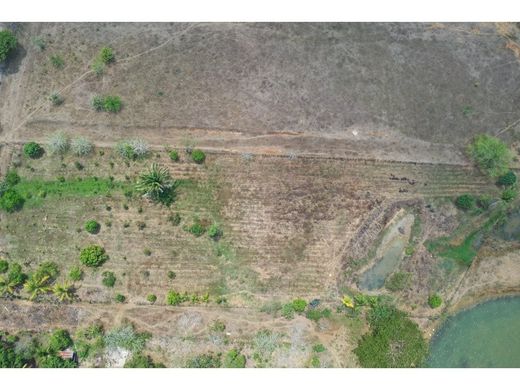 Αγροτεμάχιο σε Coveñas, Departamento de Sucre