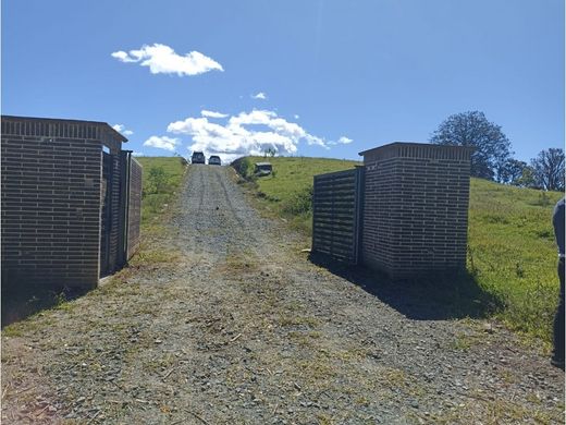 Terreno - Rionegro, Departamento de Antioquia