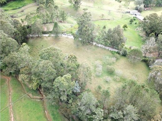 Terreno a Rionegro, Departamento de Antioquia