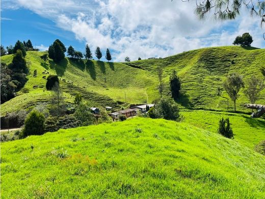 전원/농가 / Santa Rosa de Osos, Departamento de Antioquia