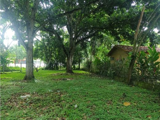 Αγροτεμάχιο σε La Pintada, Departamento de Antioquia