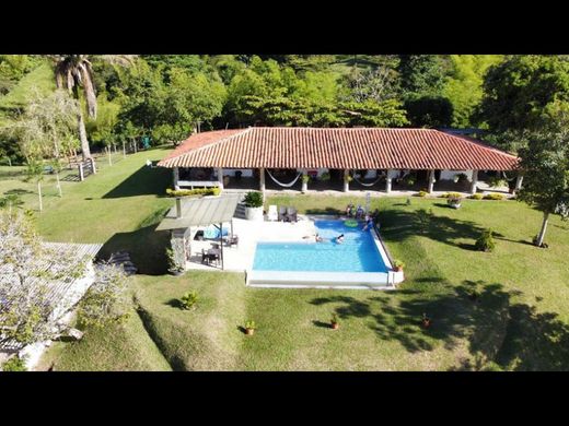 Ferme à La Tebaida, Quindío Department