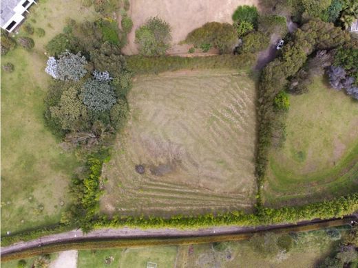 Terrain à Rionegro, Departamento de Antioquia