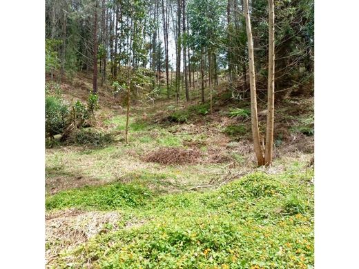 Αγροτεμάχιο σε Retiro, Departamento de Antioquia