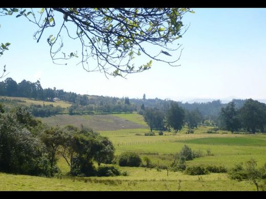 村舍/农舍  Tuta, Departamento de Boyacá