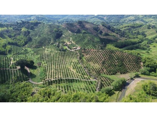 ‏בתים כפריים או חוות ב  Buenavista, San Andrés