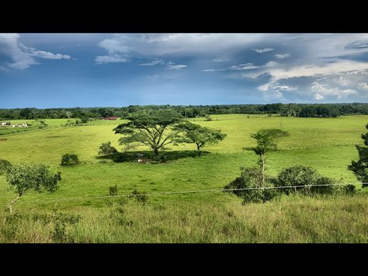 Maison de luxe à Acacías, Departamento del Meta