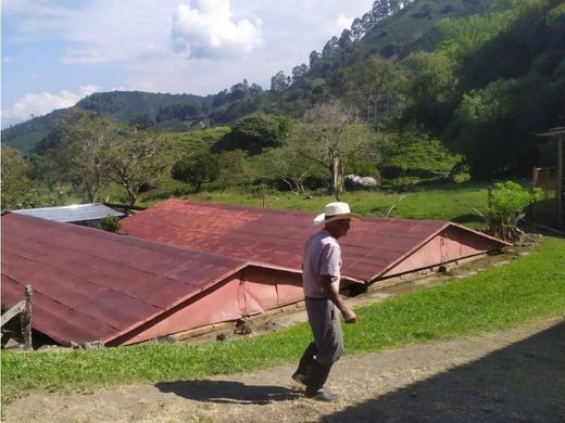 Farmhouse in Ciudad Bolívar, Departamento de Antioquia