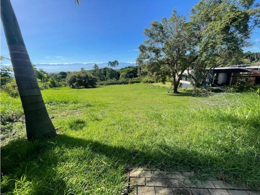 地皮  卡利, Cali