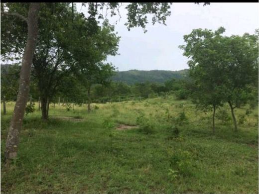 Land in Fusagasugá, Cundinamarca