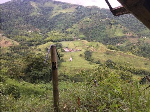 전원/농가 / Santa Rosa de Cabal, Departamento de Risaralda