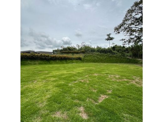 Casale a Pereira, Departamento de Risaralda