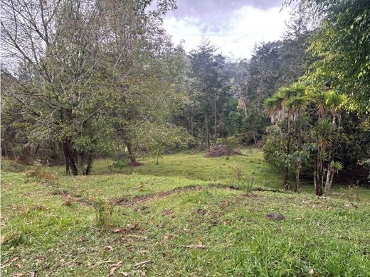 Terreno a Rionegro, Departamento de Antioquia
