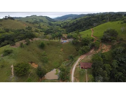 ‏בתים כפריים או חוות ב  Puerto Berrío, Departamento de Antioquia