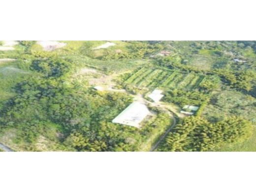 Pereira, Departamento de Risaraldaのカントリー風またはファームハウス