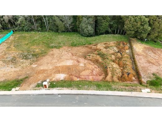 地皮  麦德林, Medellín